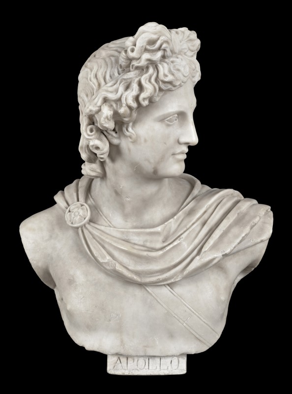 Bust of Belvedere Apollo