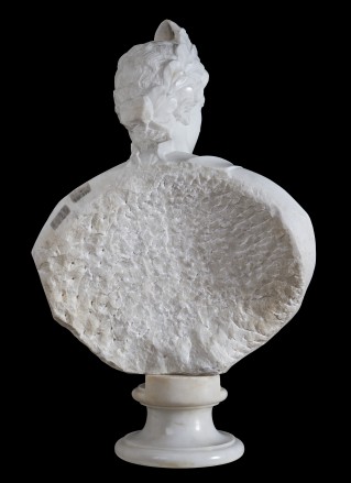 Bust of Apollino - 3