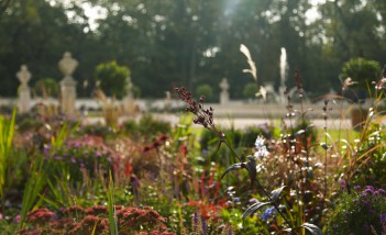 Ogrody Łazienek Królewskich - widoczne są kwiaty i trawy, w tle rzeżby i drzewa.