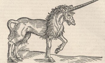 Rysunek przedstawiający jednorożca - konia z rogiem pośrodku głowy. 