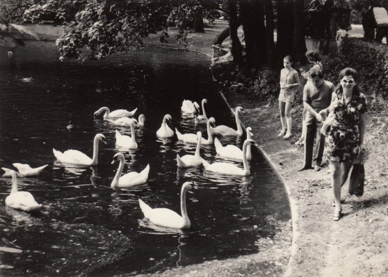 Kobieta idąca brzegiem stawu, na stawie pływają łabędzie, które karmie dwie dziewczyny i mężczyzna.