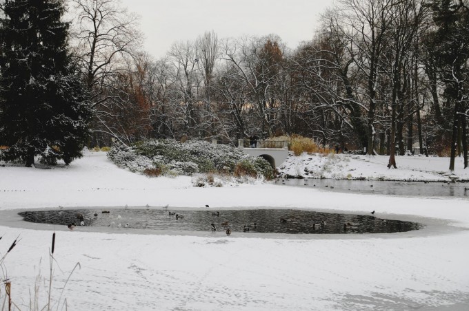 Łazienkowskie ogrody zimą, widać zamarznięty staw i drzewa wokół stawu. 