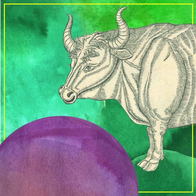 Rysunek przedstawiający duże zwierze z rogami na głowie. Stające na zielonym tle, z przodu przed zwierzeńciem jest okrągła, fioletowa kula.