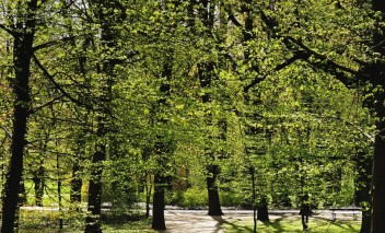 Closed gardens of the Royal Łazienki