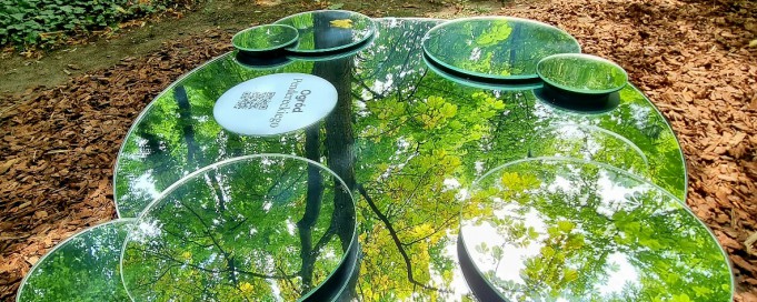 Instalacja złożona z kilku okrągłych luster, ułożonych obok siebie na lustrzanym blacie, wspartym na podnóżku. Instalacja stoi wśród drzew w ogrodzie Muzeum Łazienki Królewskie.