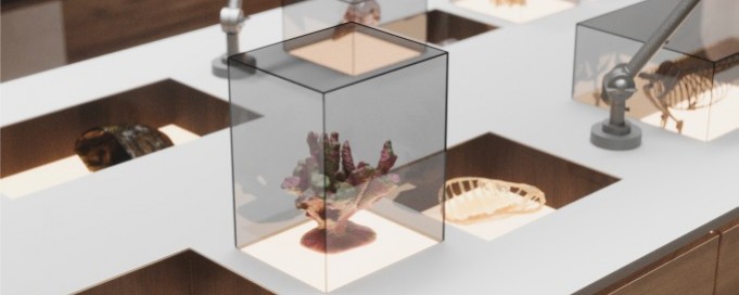 Szklana gablota wystawowa, w której znajdują się owady i fragmenty zwierzęcych szkieletów.