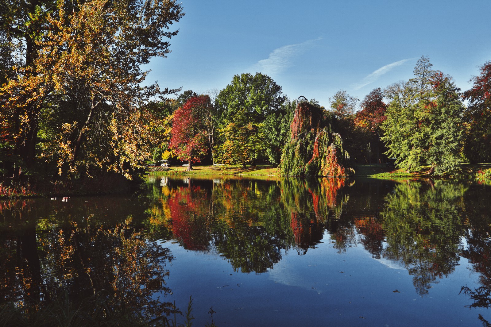 Ogrody Łazienek Królewskich jesienią, widoczne są zielono-żółto-czerwone drzewa rosnące wzdłuż wody.