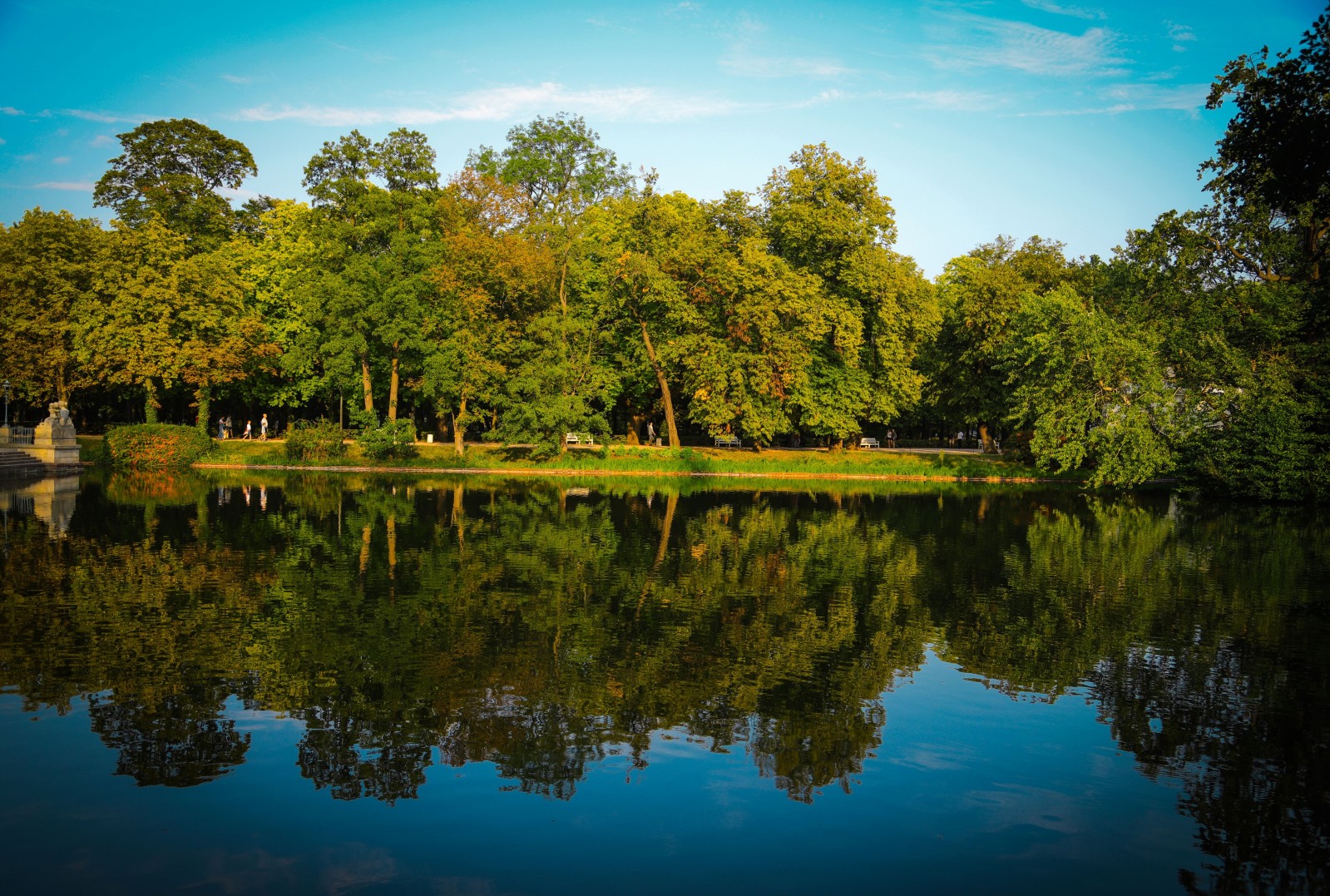 Drzewa rosnące nad wodą.