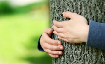 Dziecięce dłonie obejmujące pień drzewa.