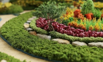 Miniaturowy ogródek.