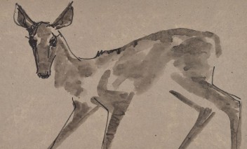 Rysunek przedstawiający sarnę.