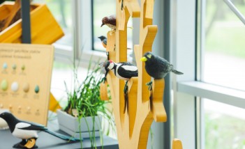 Cztery drewniane ptaki siedzące na drewnianej konstrukcji stojącej na stole. Obok, po lewej, stoi doniczka z kwiatem i makieta z ptasimi jajami.